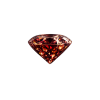 Small Garnet